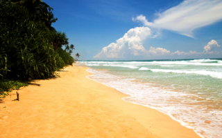 Пляж Нилавели. Шри-Ланка