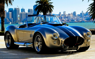 Roadster Cabriolet Cobra / Двухместный кабриолет Кобра