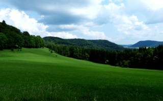 Зеленая поляна в Швабском лесу