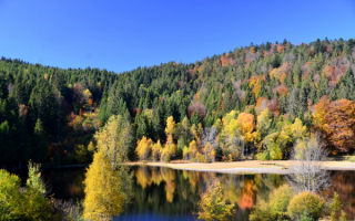 Осень в Баварии