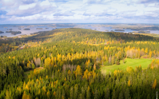 Заповедные леса Финляндии