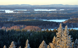 Зимняя природа Финляндии