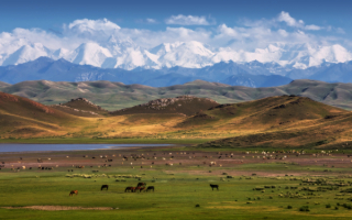 Степь и горы Казахстана