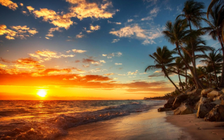 Море пальмы пляж закат
