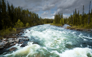 Река в нацинальном парке Сарек в Швеции