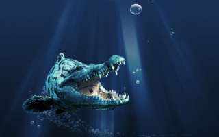 Крокодил под водой