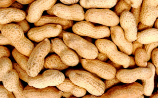 Земляной орех арахис