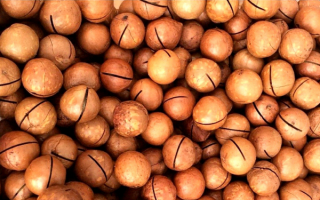 Орехи макадамия
