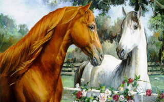 Лошади и любовь