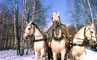Тройка коней