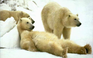 Зимний пляж