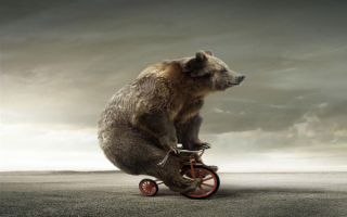 Забавный велосипедист