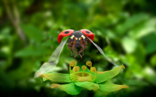 Божья коровка в полете