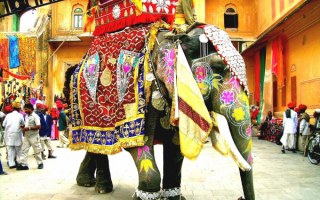 Праздничный индийский слон
